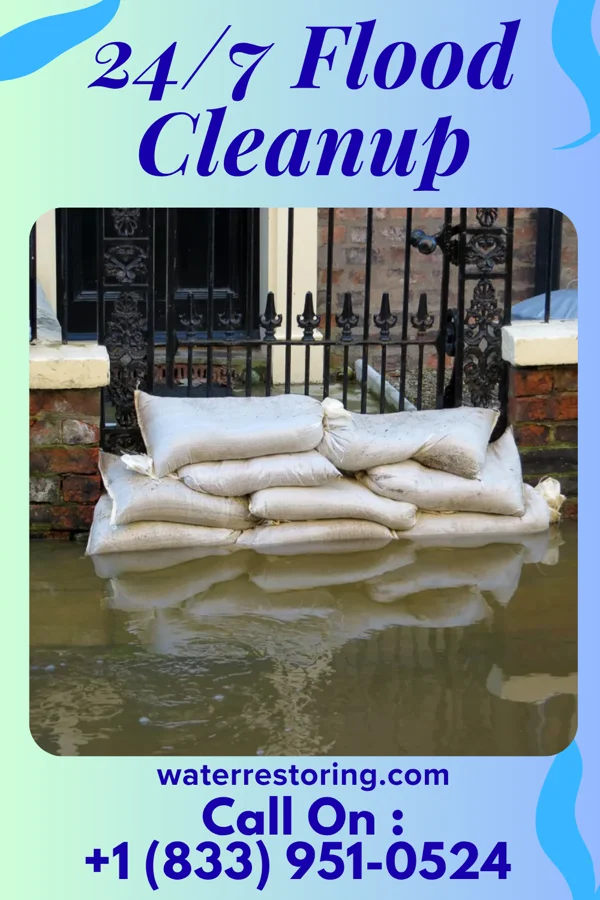 24/7 Flood Cleanup in Adrian, MN