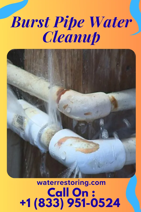 Burst Pipe Water Cleanup in Adrian, MN