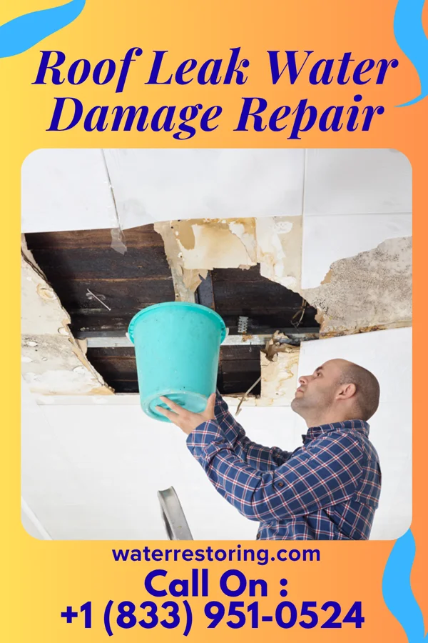 Roof Leak Water Damage Repair in Adrian, MN
