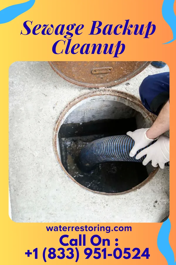 Sewage Backup Cleanup in Adrian, MN